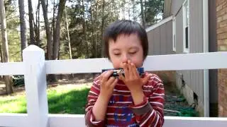 Lucas, sillies upset the harmonica in epic battle, March 21st 2015