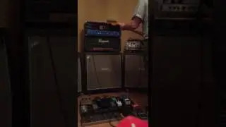 Engl Steve Morse Strat