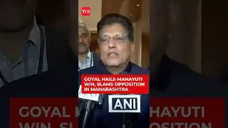 Maharashtra Municipal Polls: Piyush Goyal Hails Mahayuti Victory, Slams Opposition