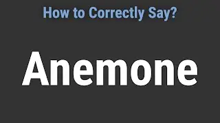 How to Pronounce Name Anemone (Correctly!)
