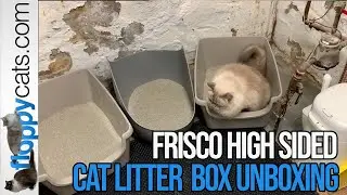 Extra Large High Sided Cat Litter Box from Frisco by Chewy Unboxing