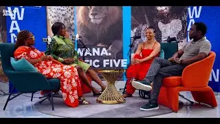 The Transformative Power of Narrative in Reshaping Africa | Elevate Africa Fellowship Podcast (Ep 1)