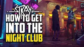 Как попасть в ночной клуб - Stray