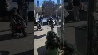 Bushman in Fort Greene BKLYN!