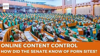 How Did Senate Know There Are Porn Sites - Jide Johnson