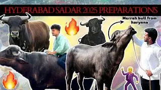 Sadar preparations vlog 🐂