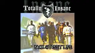 Totally Insane - Playaz & Hustlaz