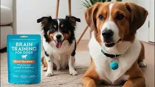 Brain Training for Dogs &ndash; The Ultimate Unique Dog Training Course! #viralvideo