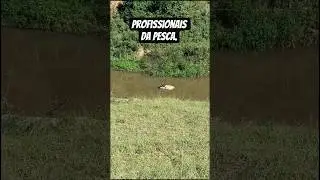 Profissionais da pesca #ataleiapescaeaventura #piabanha #pesca #pescadebarranco #fishing