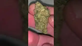 A Look At Farm Gas by Aurora (Batch E120)