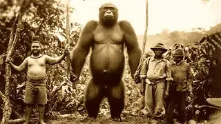 Creepy Safari Discoveries That Can Not Be Explained