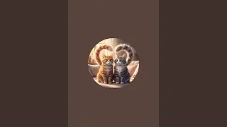 LIFE Cat Life 🐾 | Daily Cute, Funny, Naughty & Loving Cat Moments | Relaxing Cozy Vibes