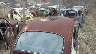 Volkswagen Graveyard