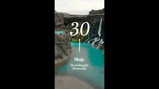 Stop. Do nothing for 30 seconds.