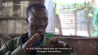 COP30 Spotlight: How Briquettes Are Creating Livelihoods in Refugee Communities-ILO X RYEH IN KAKUMA