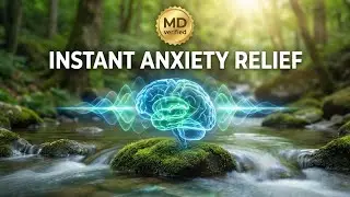 Green Noise for Anxiety: A Doctor&rsquo;s Prescription (1 Hour)