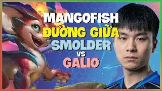 MangoFish tr&igrave;nh diễn cơ chế Smolder Đường Giữa đỉnh cao tại rank Kim Cương Vietsub