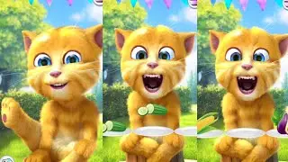 Talking Ginger 2  🍓🍒🍎🌶️ Funny Cartoon 🤣🤣 | talking ginger 2 | ginger 2 game | ginger 2 | #cat