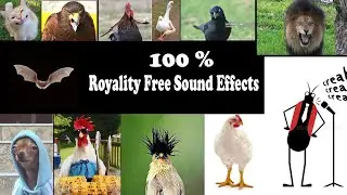 100% Royality free Sound Effects  | Animal Sounds |  Birds Sounds | No Copyright