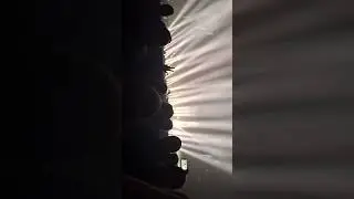 NIN 2025 I'm afraid of Americans (PEEL IT BACK)