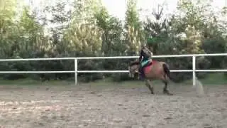 Cwał Kotowo TURBO  Buła