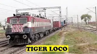 Tiger Face Jhansi WAG7 Container Freight Talk, Speed