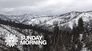 Nature: Boise National Forest