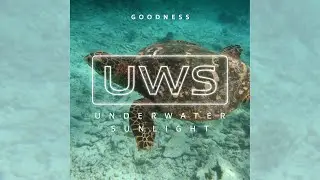 Underwater Sunlight - Goodness (Official Video)