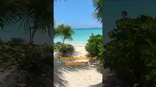 Anse Royal: The most turquoise ocean you will ever see #Seychelles #travel #travelvlog #beach