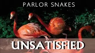Parlor Snakes - Unsatisfied