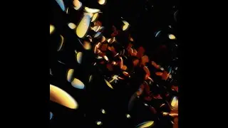 Will Gardner - Blossom (Official Video)