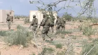 Navy Trains with Air Force at Desert Defender