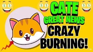 CATECOIN BURN RATES AT ALL TIME HIGH! GREAT NEWS FOR CATE HOLDERS! Crypto News Hub