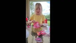 Today we have a super fun unboxing for you: Zuru Mini Brands Kawaii and Star Wars Doorables!