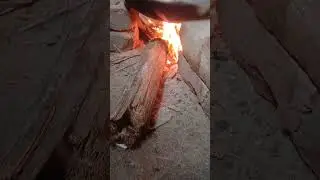 শবে মেরাজ এর রোজা নাই #shortvideo #foryou #beef