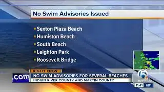 Health warning issued for Martin, Indian River County beaches because of bacteria
