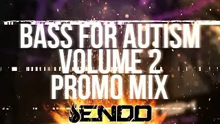 Bass For Autism Vol. 2 Promo Mix by Endo