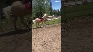 . #sobbing #soulhorse #oldvideo
