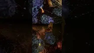 АБУ-ДАБИ НЕ КАК У ВСЕХ!Топ места,которые хочется прожить снова. Часть 2 #абудаби #рек #рекомендации