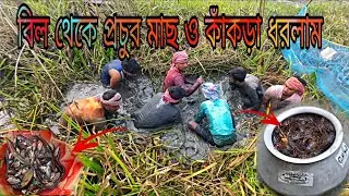 বিল থেকে খলি হাতে প্রচুর মাছ ও কাঁকড়া ধরলাম। Dasi fish and crab catching video.
