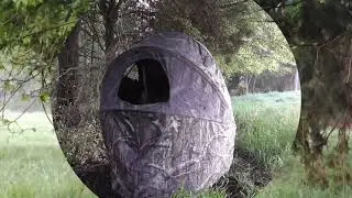 South Carolina Spring Turkey Season 2023 Hunting Field Birds