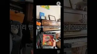@남찬식-NCS 김뇨뇨가 더 좋은 zazaie96