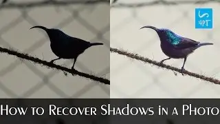 How to Recover Shadows in a Photo, Photography Post Processing Photoshop Tutorial