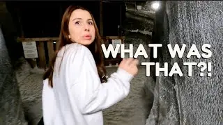 Romania Took Us Underground