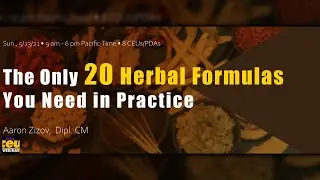 The Only 20 Herbal Formulas You Need in Practice