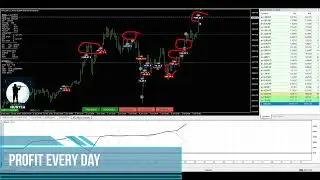 Robot de trading de crypto-monnaies avec un rendement de plus de 1000 % par an