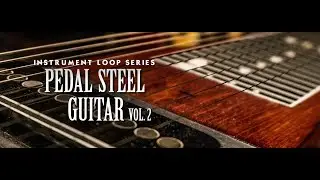Pedal Steel Guitar 2 - Inside Video by Image Sounds