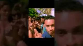 Shaggy - In the Summertime (feat. Rayvon) #Shorts