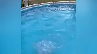 Reverse Cannonball