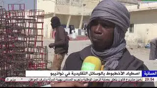 اصطياد الاخطبوط بالوسائل التقليدية في نواذيبو تقرير عبد الله الزبير